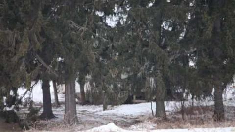 William Ellicott Home photo 4