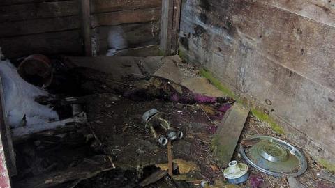 Red Trim in Lybster - Red-Trim-in-Lybster13.jpg