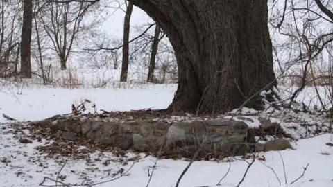 William Ellicott Home photo 2