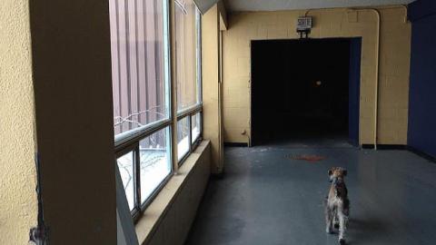 January 10th, 2015 - Bye-Bye-Baby-Blue33.jpg