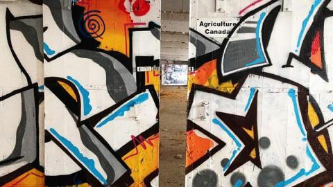 January 10th, 2015 - Bye-Bye-Baby-Blue84.jpg