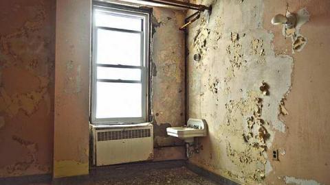 January 1st, 2015 - DSC_0085er.jpg