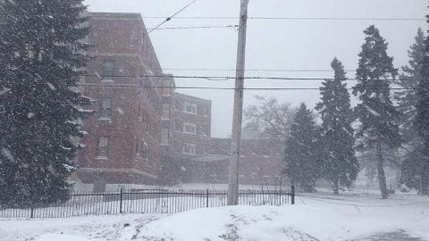 January 1st, 2015 - IMG_4318r.jpg