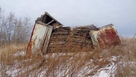 Asleep But Never Awoken - DSC00413.jpg