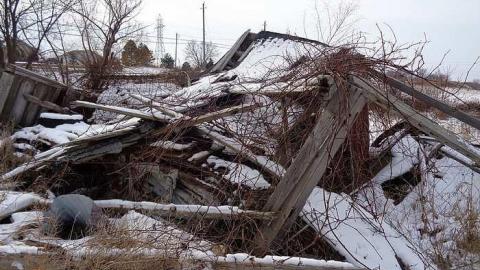 Asleep But Never Awoken - DSC00418.jpg