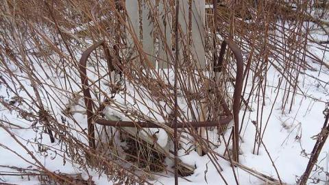 Photo from Asleep But Never Awoken