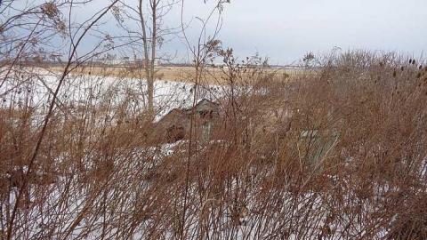 Asleep But Never Awoken - DSC00452.jpg