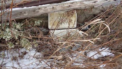 Asleep But Never Awoken - DSC00458.jpg