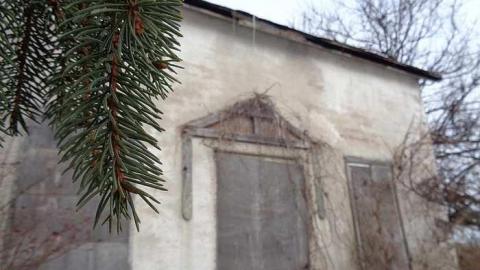 Asleep But Never Awoken - DSC00459.jpg