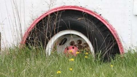 Abandoned Bus - Mosport-Bus4.jpg