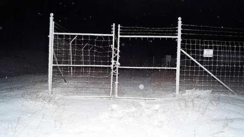 December 12, 2014 - CFB-Edgar250.jpg