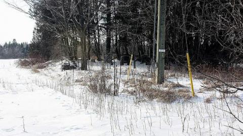 Jan 2015 - McIntosh-Cemetery2.jpg