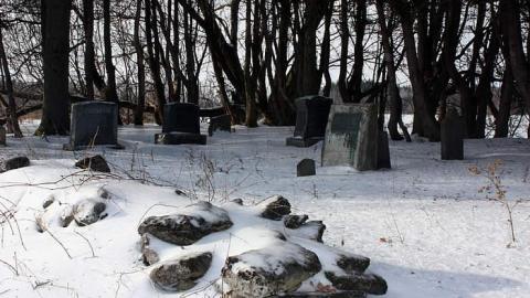 Jan 2015 - McIntosh-Cemetery3.jpg