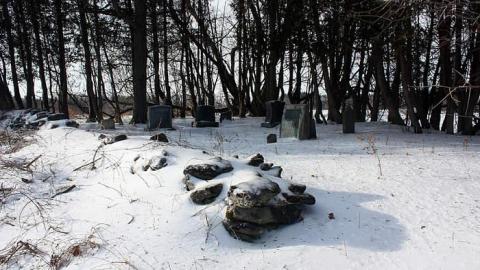 Jan 2015 - McIntosh-Cemetery14.jpg