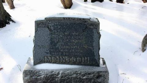 Jan 2015 - McIntosh-Cemetery16.jpg