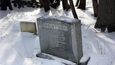 Jan 2015 - McIntosh-Cemetery6.jpg