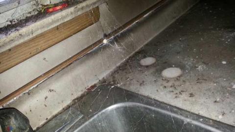 dec 13. 2014 - 20141213_143708.jpg