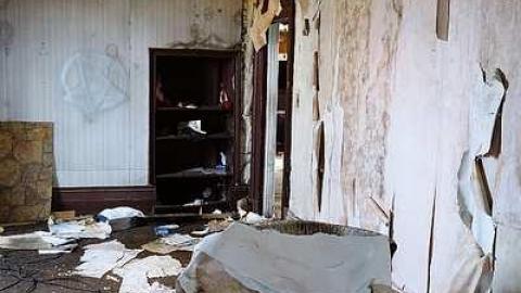 Dec '14 - DSC01104.jpg