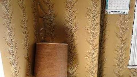 Dec '14 - DSC01167.jpg