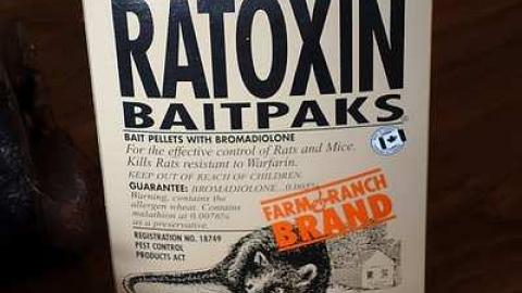 Dec '14 - DSC01216.jpg