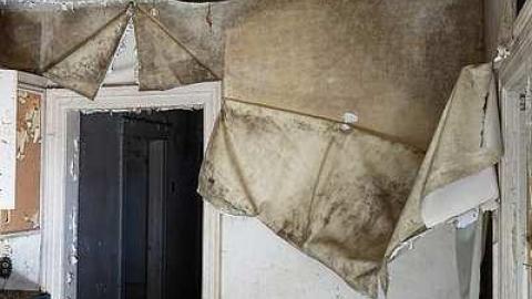 Dec '14 - DSC01231.jpg