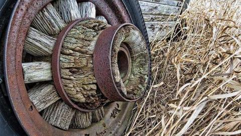 Photo from Natural Lighting only