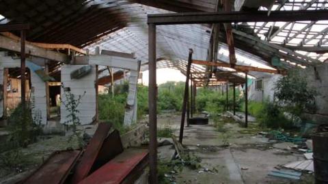 TEETH & MUMMYS - Teviotdale-Farm2.jpg