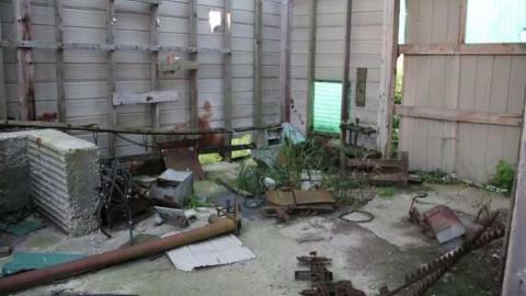 TEETH & MUMMYS - Teviotdale-Farm4.jpg