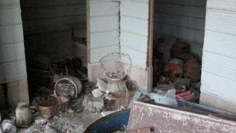 TEETH & MUMMYS - Teviotdale-Farm5.jpg