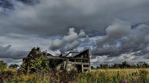 Farming Cars - IMG_1072Topaz-1.jpg