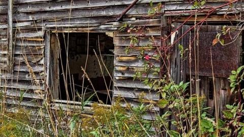 Farming Cars - IMG_1062Topaz-1.jpg