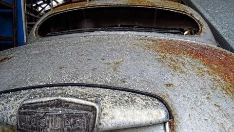 Photo from Farming Cars