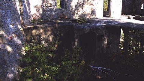 DARNLEY - Darnley-Mill-Crooks-Hollow179.jpg