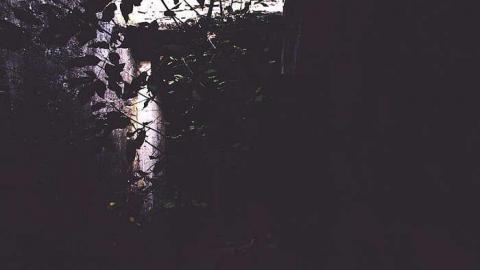 DARNLEY - Darnley-Mill-Crooks-Hollow180.jpg