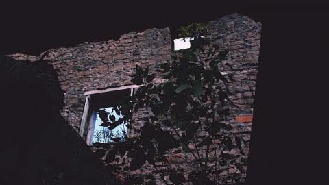 DARNLEY - Darnley-Mill-Crooks-Hollow11.jpg