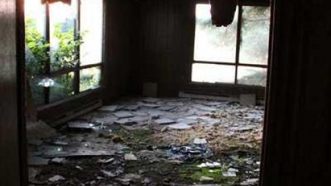 TEETH & MUMMYS - Teviotdale-Farm8.jpg