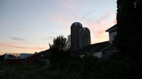 TEETH & MUMMYS - Teviotdale-Farm9.jpg