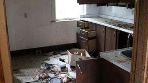 TEETH & MUMMYS - Teviotdale-Farm10.jpg