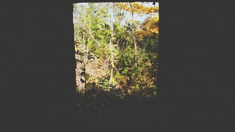 DARNLEY - Darnley-Mill-Crooks-Hollow17.jpg