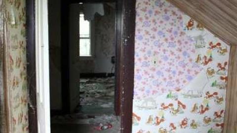 TEETH & MUMMYS - Teviotdale-Farm11.jpg