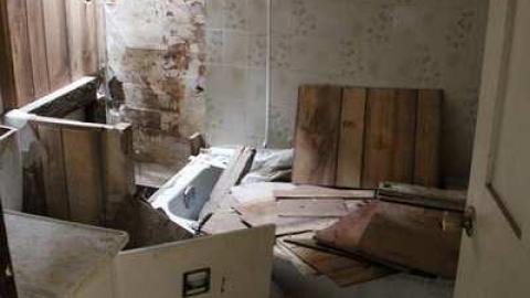 TEETH & MUMMYS - Teviotdale-Farm13.jpg