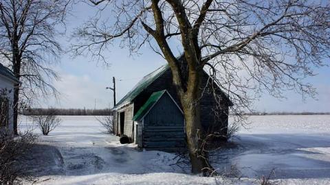 Jan 2015 - Slippery-Training-Grounds1.jpg