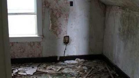 TEETH & MUMMYS - Teviotdale-Farm14.jpg