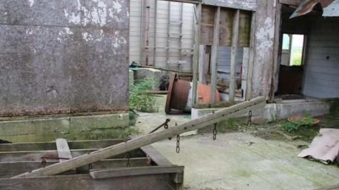 SHOE - Teviotdale-Farm23.jpg