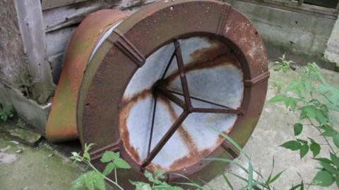 SHOE - Teviotdale-Farm25.jpg