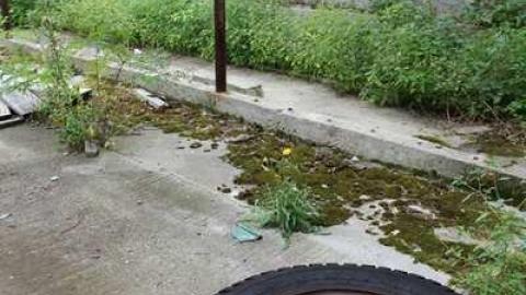 SHOE - Teviotdale-Farm26.jpg