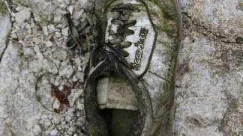 SHOE - Teviotdale-Farm27.jpg