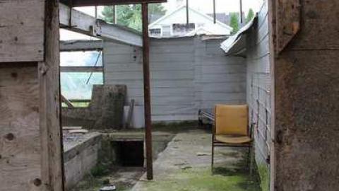 SHOE - Teviotdale-Farm28.jpg