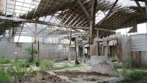 SHOE - Teviotdale-Farm29.jpg