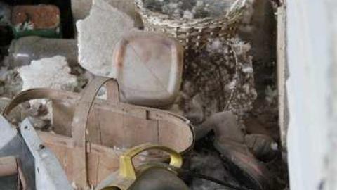 SHOE - Teviotdale-Farm30.jpg